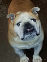 ella2.webp