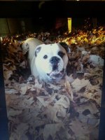 lola3.jpg lola3.jpg
