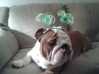 2012-02-10 19.10.06.webp