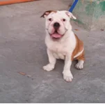 Screenshot_2014-02-24-14-02-04-1.webp