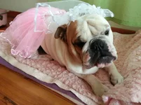 20131029_141437.webp