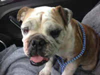 Ellie Mae.webp