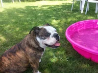 20140724_141244.webp