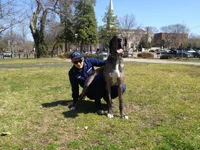 image.webp