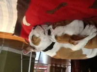 image.webp