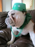 St Patricks Day 001.webp St Patricks Day 001.webp