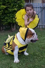 bubblebee 274.webp bubblebee 274.webp