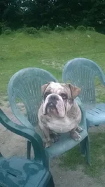 uploadfromtaptalk1406513397600.webp uploadfromtaptalk1406513397600.webp
