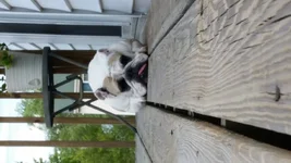 20140812_183931.webp 20140812_183931.webp