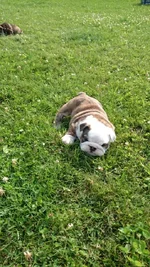 photo-10.webp