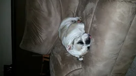 20140825_114655.webp 20140825_114655.webp