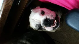 20141001_152342.webp 20141001_152342.webp