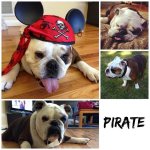 Pirate.jpg Pirate.jpg