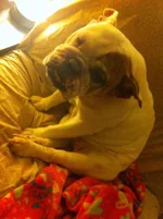 Precious.webp