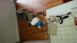 20141015_150134.webp 20141015_150134.webp