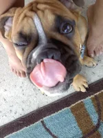 downsized_0914111443c.webp