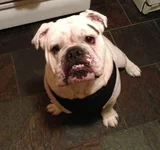 Mack.webp