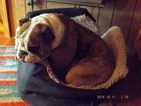 DSCF5223.webp