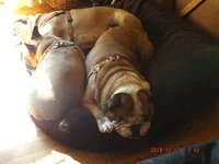 DSCF5230.webp