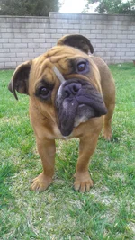 IMAG0413.webp