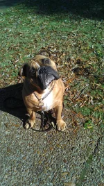 IMAG2228.webp