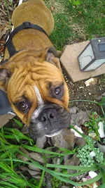 IMAG0312.webp