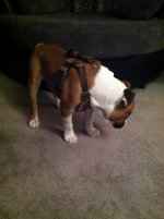 IMG_4046.jpg IMG_4046.jpg