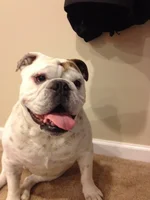 July Giz and Hershey 001.webp