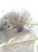 2014-03-11 10.12.06.webp