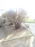 2014-03-11 10.12.09.webp