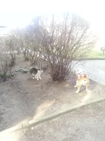 2014-03-11 10.14.24.webp