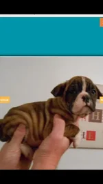 ImageUploadedByTapatalk1406938381.769148.webp