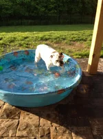 May pool fun 001.webp