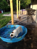 May pool fun 012.jpg