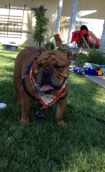 IMG_6729.jpg IMG_6729.jpg