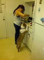 IMG_20131004_225613.webp