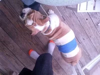IMG_20131230_153721.webp