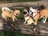 photo (43).jpg photo (43).jpg