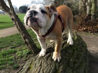 photo (44).jpg photo (44).jpg