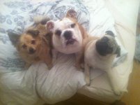 photo (45).jpg photo (45).jpg