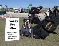 Caddy For Hire 1_edited-1.webp
