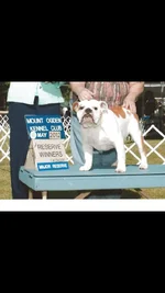 ImageUploadedByTapatalk1394769531.565878.webp ImageUploadedByTapatalk1394769531.565878.webp