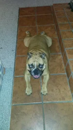 20140604_214449.webp