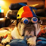 Nerd.webp