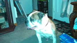 Pictures 163.webp