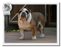 Gemma-(2).webp Gemma-(2).webp