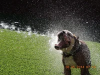 DSCN1708.webp