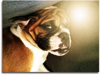 jovvveee.webp