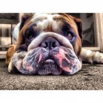 IMG_1323.jpg IMG_1323.jpg