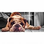 IMG_7549.jpg IMG_7549.jpg